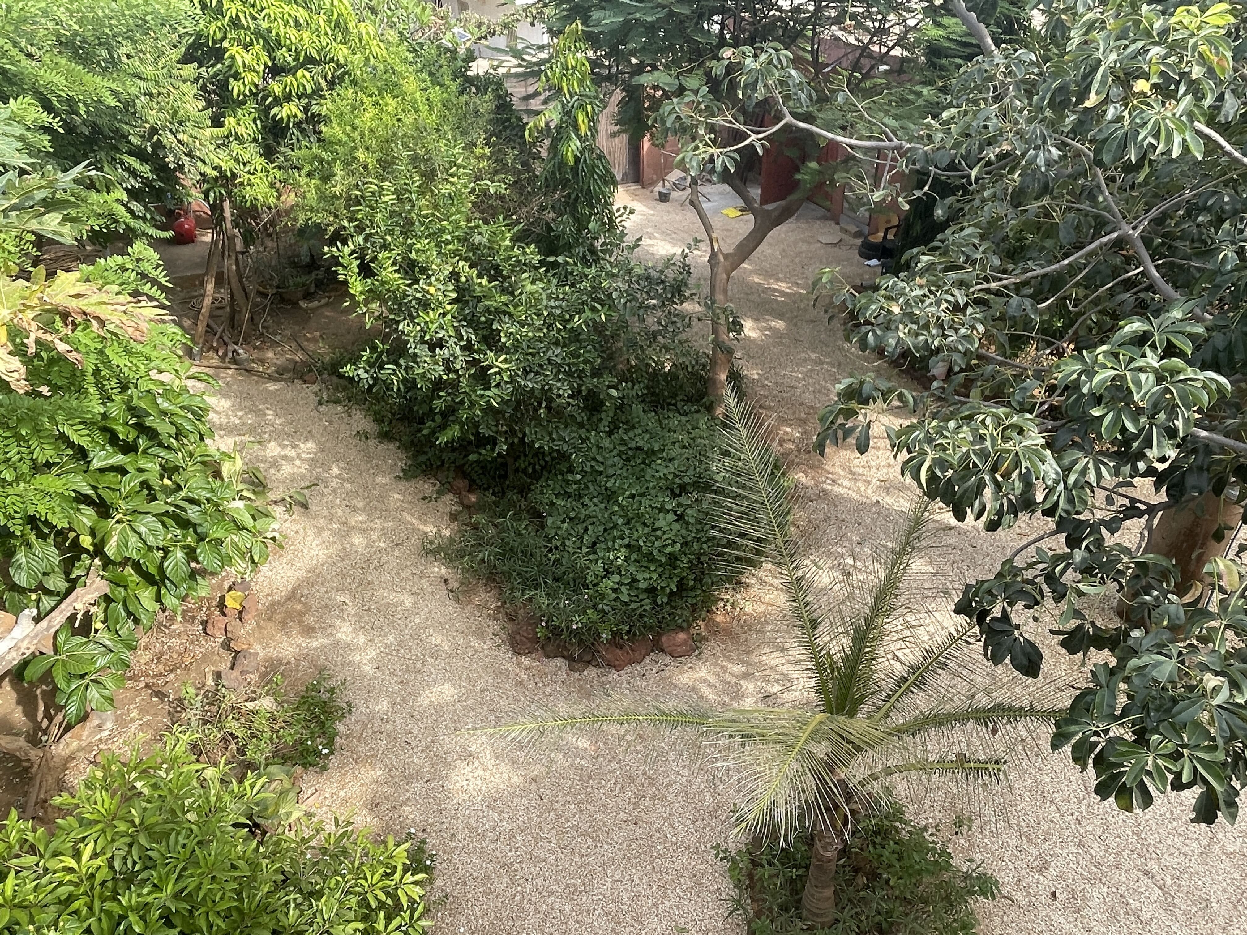 Villa à Guéréo avec Vue Océan — À 200 m de la Plage, sur 1 000 m² de Terrain Arboré